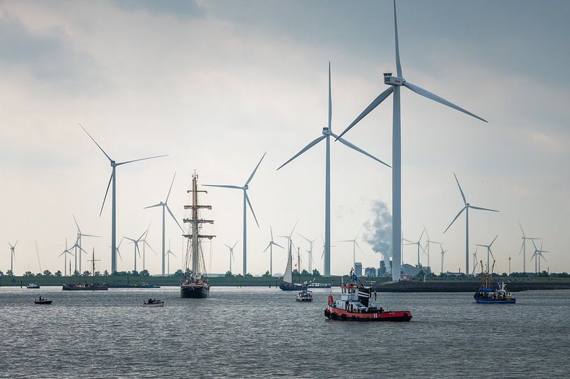 Sail-in DelfSail 2024 van Jan Georg Meijer