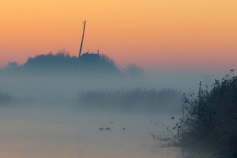 Matinée froide et brumeuse par Cor de Bruijn Photography