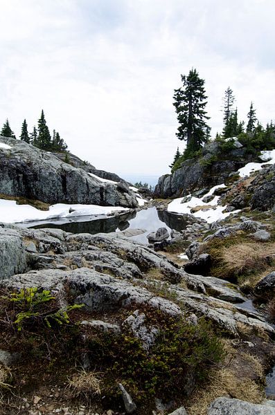 Mt Seymour Vancouver Kanada - Blick auf Vancouver von Ohana