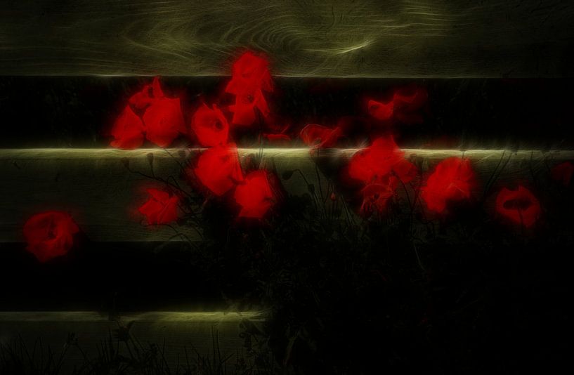 Klaprood von ZEVNOV .