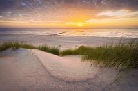 Reverenz (Dünen und Strand Nieuw-Haamstede)