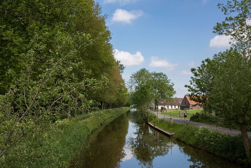 Nature photography by Etienne Oldeman