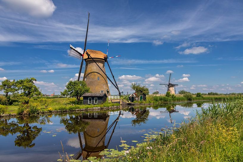 Beautiful summer day in Kinderdijk by Bram van Broekhoven