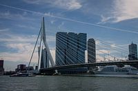 Pont Erasmus Rotterdam Pays-Bas Europe