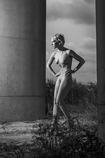 Statig von Allard Kamermans