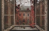 urbex: herstachtige binnentuin