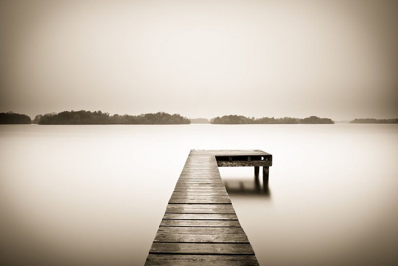 Simplescape van robert wierenga