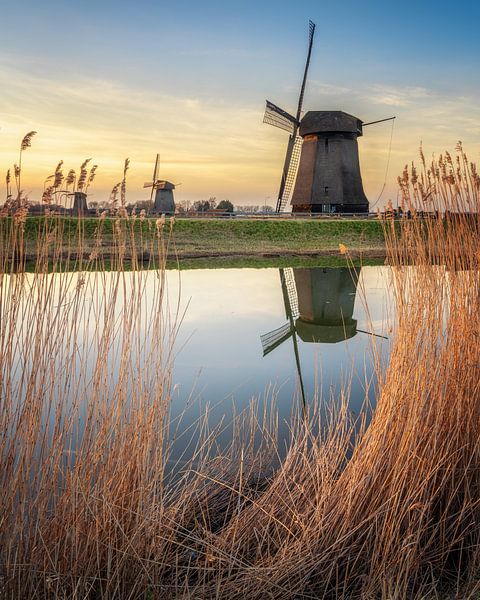 Windmills near Schermerhorn by Bart Hendrix