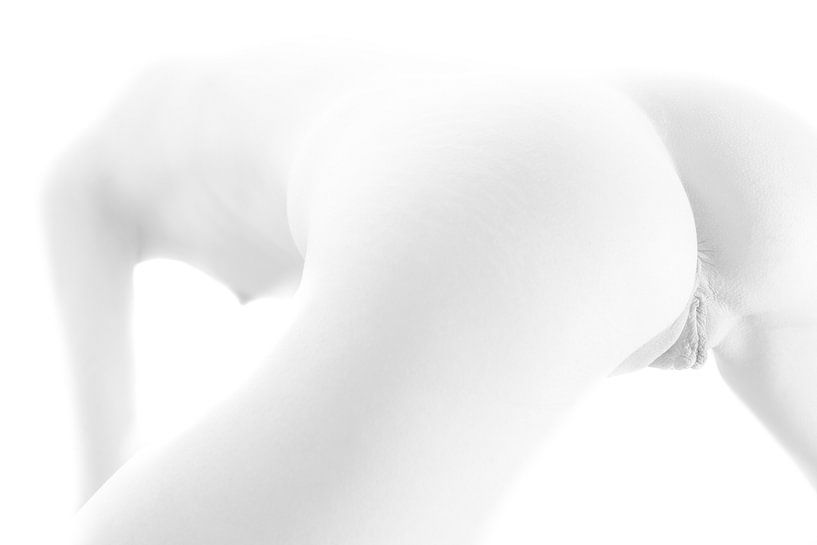 Artistic Nude of Buttocks and a Vagina in Black and White by Art By Dominic