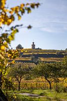 Blick auf die herbstlichen Weinberge und den Flaggenturm (Kaffeemühlchen) in Bad Dürkheim