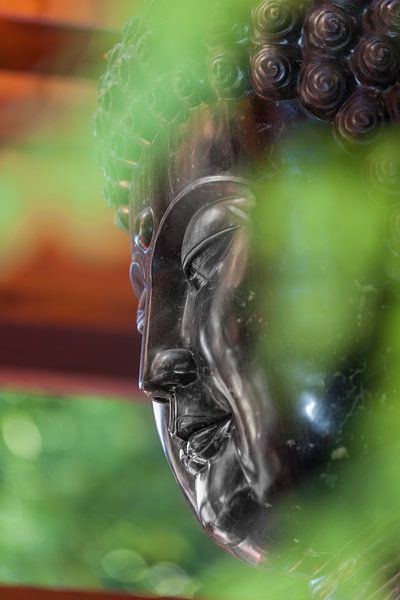 Hoofd van Buddha par Marcel Derweduwen