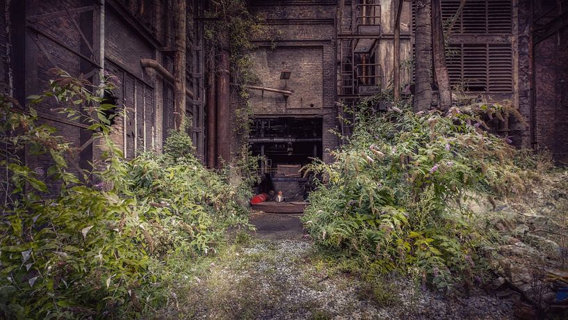 Verlassene Natur von Frans Nijland