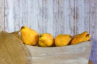 Stillleben mit Quitten