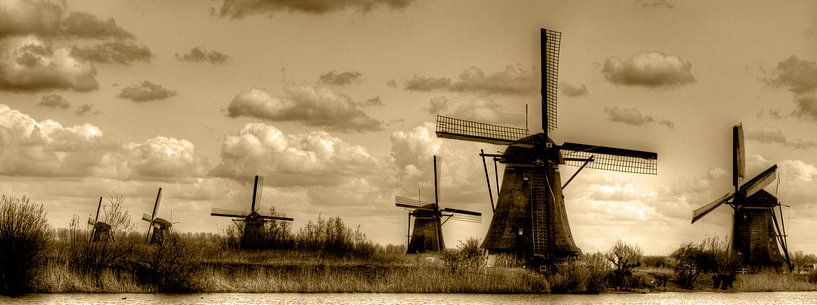 Dutch von Made by Rainer