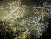 Herbstblatt in der Nacht