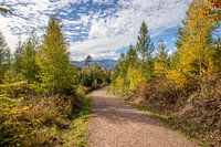 Autumn landscape with view of the Brocken in the Harz mountains