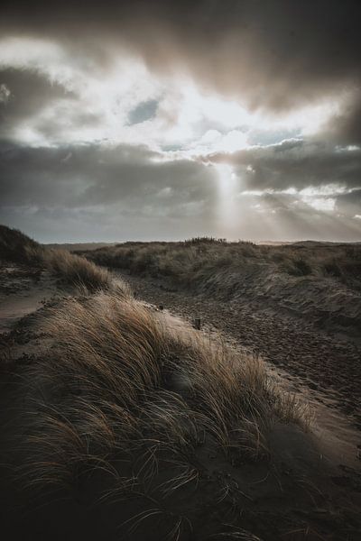 Dünen mit bedrohlichem Himmel von Dirk van Egmond