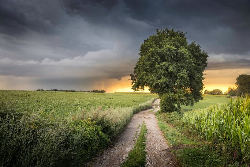 Between sun and storm in Heijenrath by Ton Drijfhamer