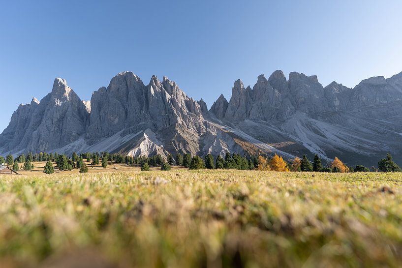 Geislergruppe in autumn Dolomites Villnöss South Tyrol by Daniel Kogler