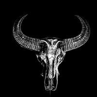 Schaedel schwarz/weiss.