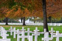 Margraten American cemetery "the peace".