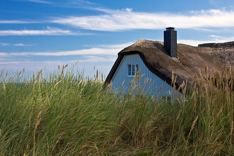 House in the dunes in Ahrenshoop by Anja B. Schäfer