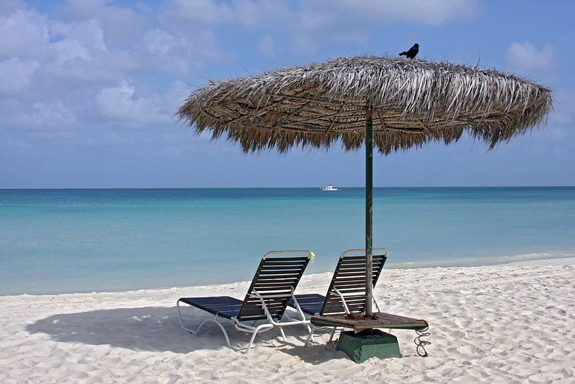 eagle beach aruba by gea strucks