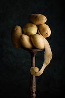 Art de la pomme de terre, nouvelle récolte