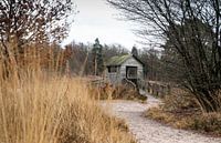 Hutje in de natuur......