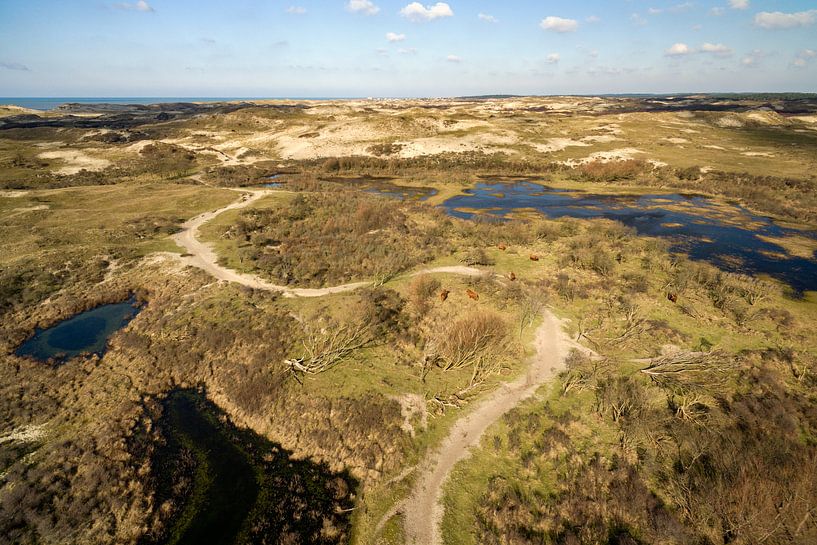 Duinlandschap Egmond aan Zee par Fotografie Egmond