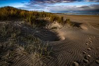 Dünen am Strand von Breskens.