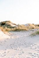 Dunes of Castricum with sunset - fine art photography