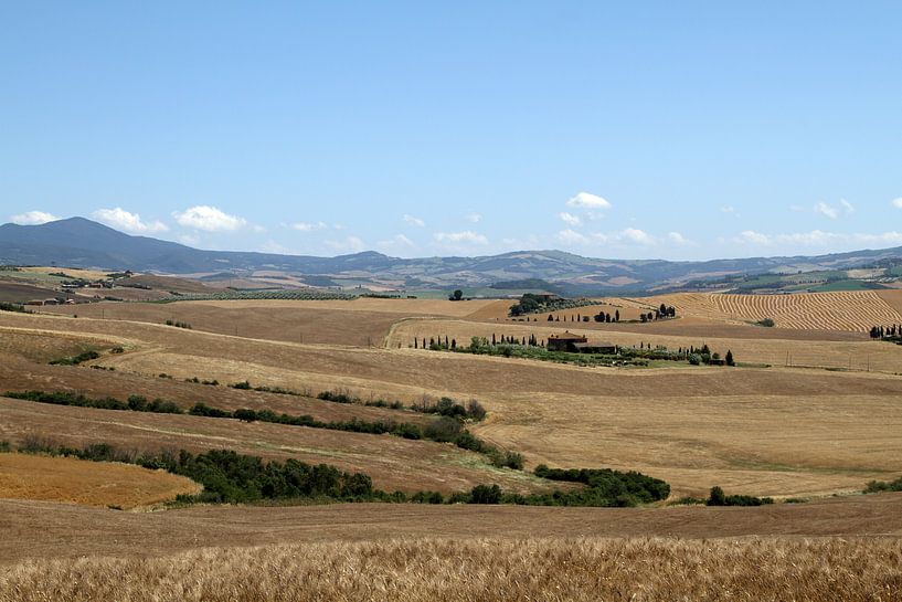 Tuscan landscape by Sander Miedema