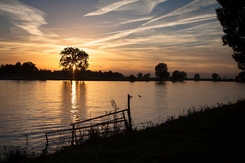 Het land van Maas en Waal by Monique Hassink