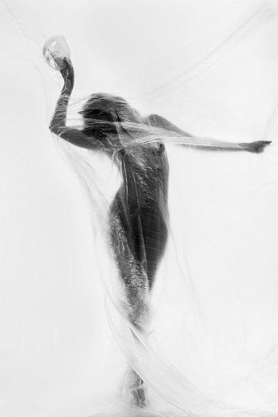 la danse des masques par Patrick Odorizzi