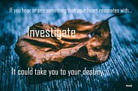 Inspiration "Destiny"