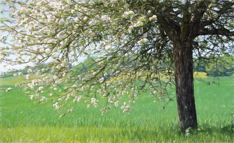 Laubstreu von Yvonne Blokland