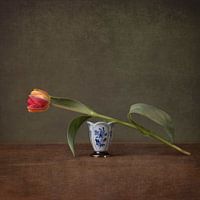 Versuchen Sie nicht, sich in 2