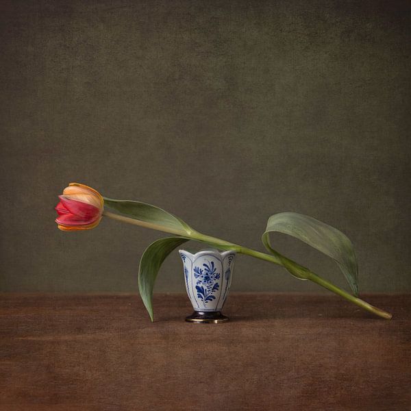 Versuchen Sie nicht, sich in 2 von Oranje Tulp