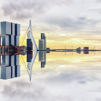 Rotterdam <> madrettoR