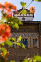 Zomers doorkijkje op Real Alcazar