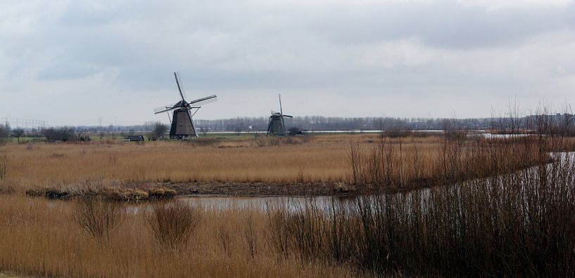 Molenduo in Kinderdijk par Yvonne Blokland