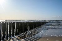 Strand von Zoutelande