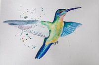 Hummingbird in flight, watercolour.