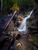 Waterfall in Leybachtobel I