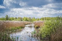 Natürliche Landschaft.