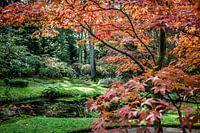 Beautiful fall colors