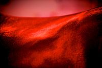 Detailfoto van een paard