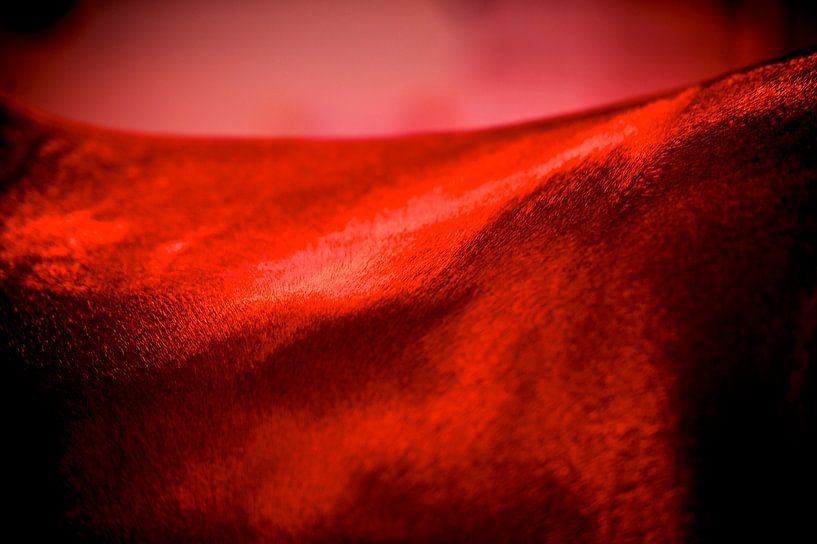 Detailfoto van een paard by Arnd Bronkhorst Photography