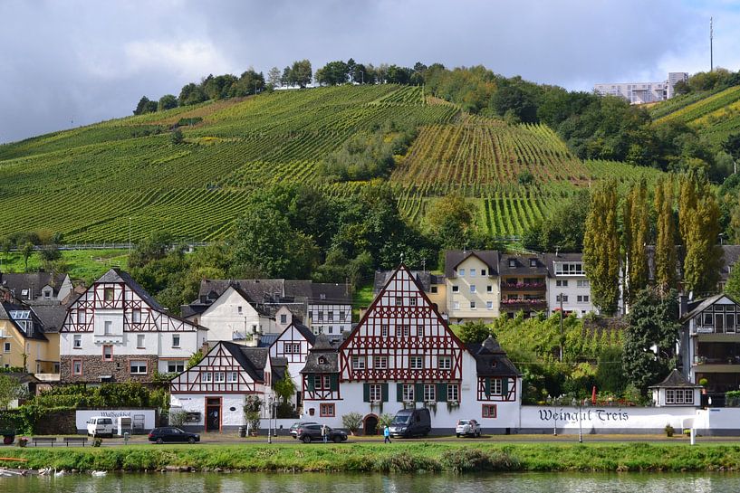 Mosel, Ansicht der Weinfelder von Bernard van Zwol
